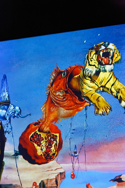 Bassins de lumières-Dali-024